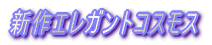 �ŐV��� 