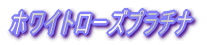 �ŐV��� 