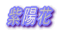 �ŐV��� 